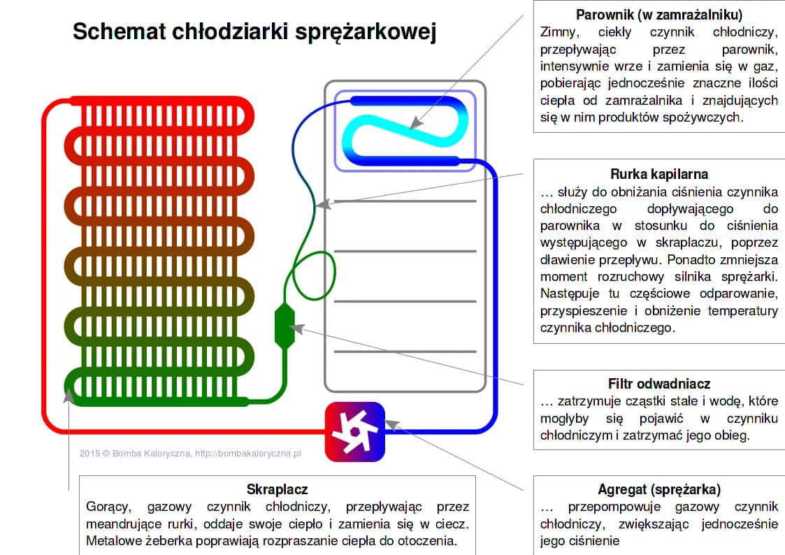 Jak działa lodówka? Odkryj sekrety chłodzenia i oszczędzaj prąd!