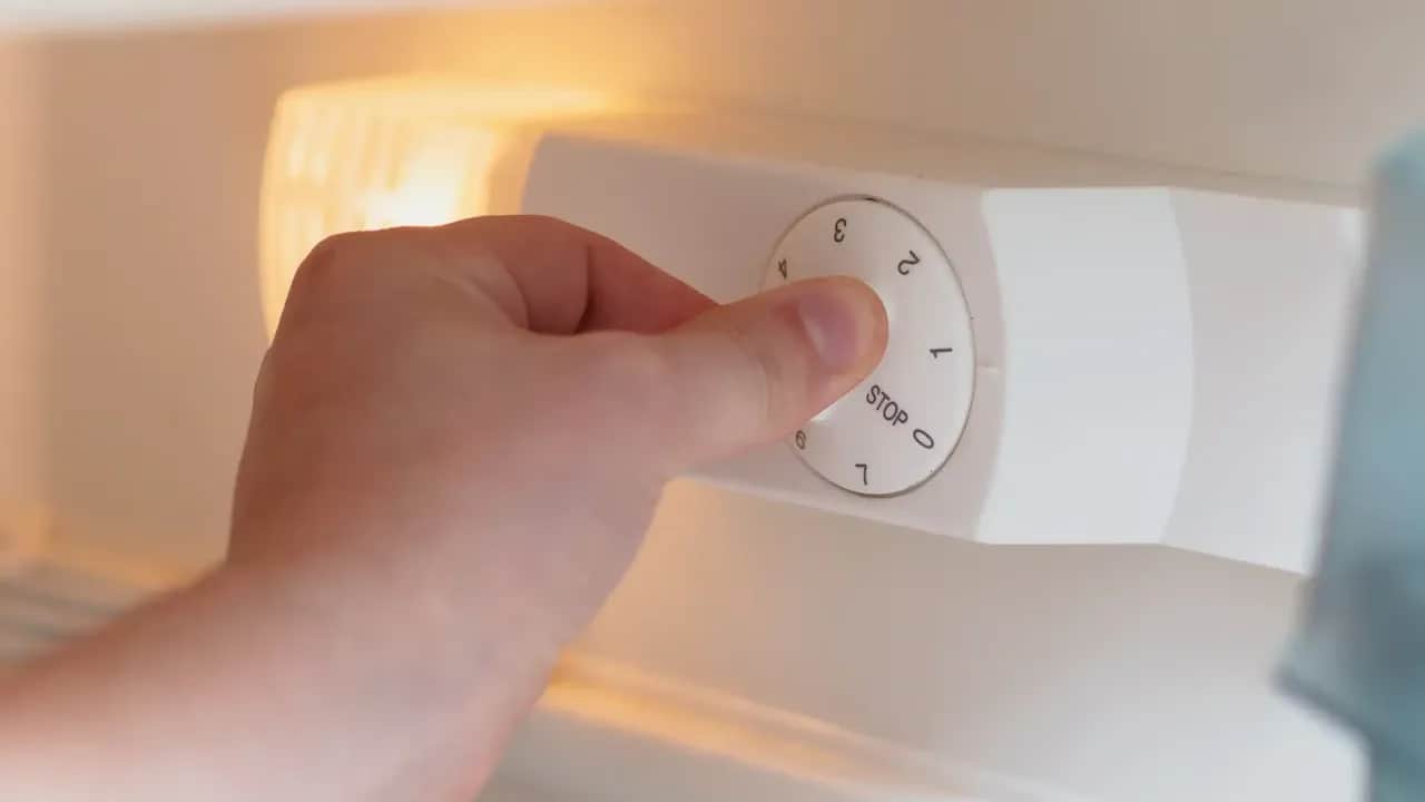 Sekret świeżości: Jak ustawić temperaturę w lodówce i oszczędzać?