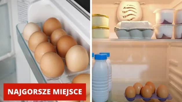 Jajka: lodówka czy półka? Ekspert wyjaśnia zasady przechowywania